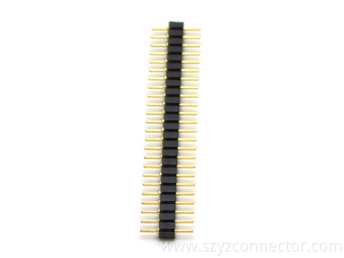 Main-05